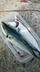 【お題日記】好きなキャッチコピー