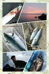 【お題日記】夢見てもいいですか？