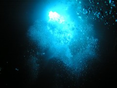 【お題日記】10年前の自分に言いたい事