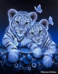 【お題日記】死ぬまでに1回は経験したいこと