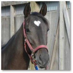 週間天気で静岡は・・・