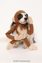 秘かな疑問～罪と罰～