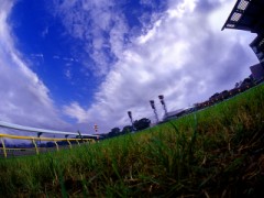 昨日の裏見てくれた？枠枠！！