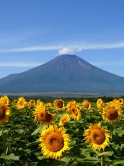 もう年末まっしぐら(；一_一)