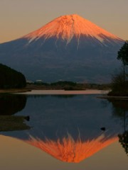 異常気象辞めて