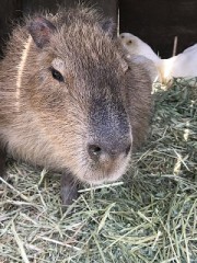 仕事人としては敬愛している