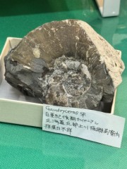 【お題日記】今後チャレンジしてみたいことは？