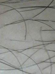 そして・・・完結