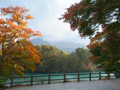 今日は旦那の運転でお買い物に行ってきました＾＾；