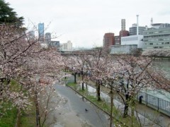 大阪へ・・・（*＾-＾*）