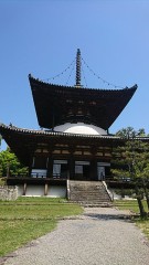 【お題日記】Hの最中引かれちゃったこと