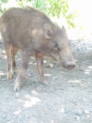 ビックリ驚いた