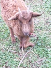 13日の金曜日だけど