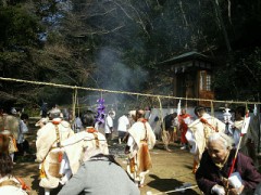 【お題日記】「猫の日」！みなさんは猫派？犬派？