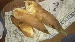 【お題日記】最近自然に触れましたか？