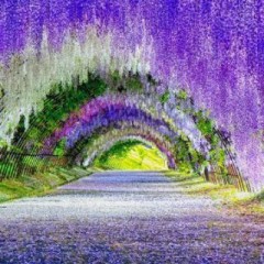 【お題日記】お気に入りの写真見せて