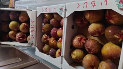 【お題日記】好きな地方の特産品