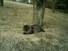 言うこと聞かない・・・