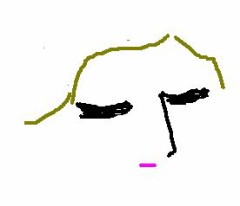 今日は寒い・・・