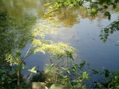 やはり疲れました