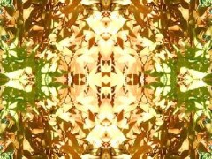 今日も、うだうだ