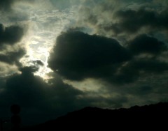 暑さも和らいで。。。