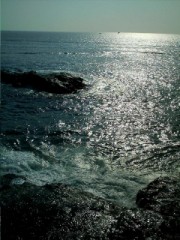 海を見に。。。