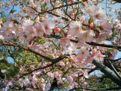 少し暖かい、かな？