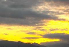 急に寒くなった。