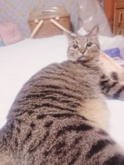 実家に帰ってました！