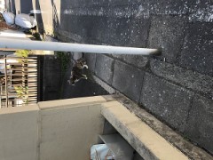 【お題日記】誰かに「ありがとう」伝えよう！