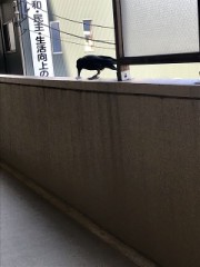 玄関出て階段歩いてるとき