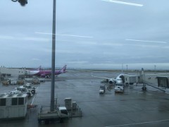 【お題日記】車中泊したことある？