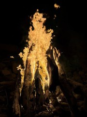 【お題日記】懐かしい写真に心がほっこりした事