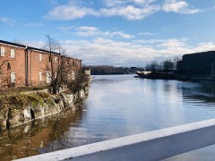 【お題日記】昔より涙もろくなった？