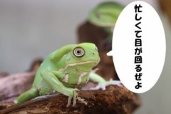 師走は忙しいは…理由にならない？