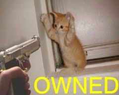 石焼ビビンバ(ﾟдﾟ)ｳﾏｰ