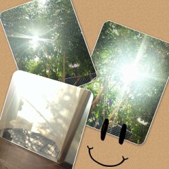 おはよぅです(*^_^*)