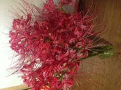 暑かったなぁ～