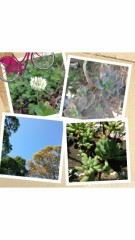 快晴( ´ ▽ ` ) ﾉ