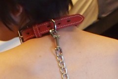 首輪の魅力