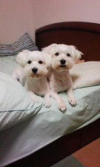 ごめんなさい～...m(__)m