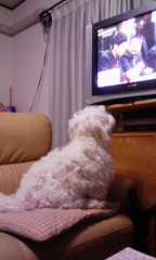 ごえちゃんも～はまっちゃって・・・◎^∇^◎