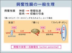 【お題日記】ウラログで興奮したことある？