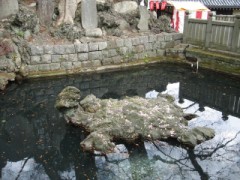 性欲って不思議！