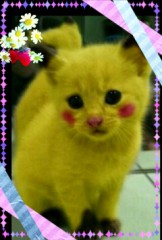 バレンタインデープレゼント