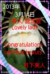 必見！H な貴女へ贈ります！