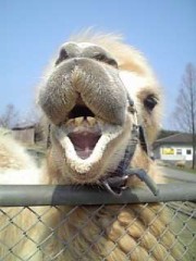 寝たぃけど　眠れない時って…