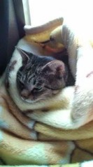 寒い～ヽ( ｀Д´)ノ