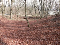 ＳＭ年齢　その2